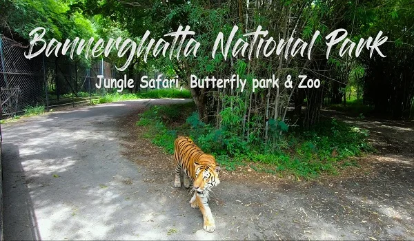 Bannerghatta National Park